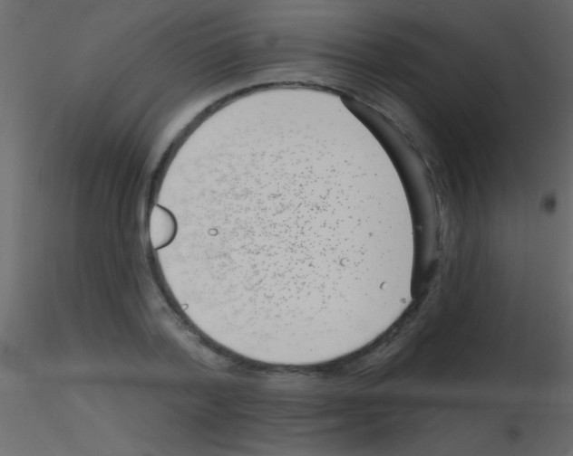 X0000115730788200912241625