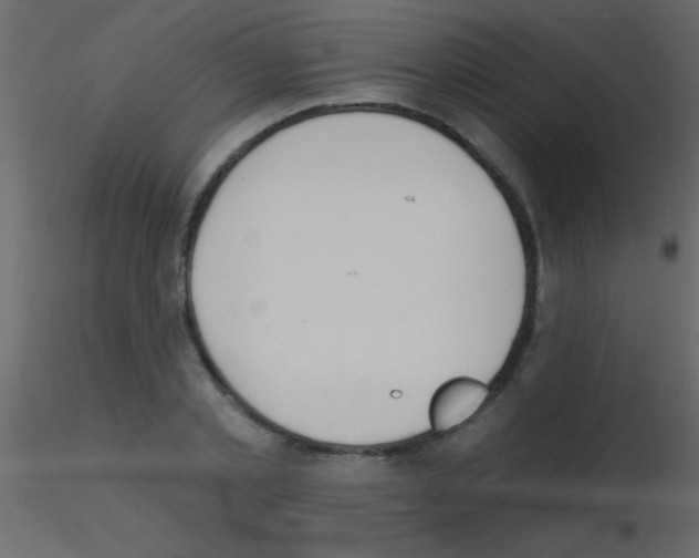 X0000115730789200912241625