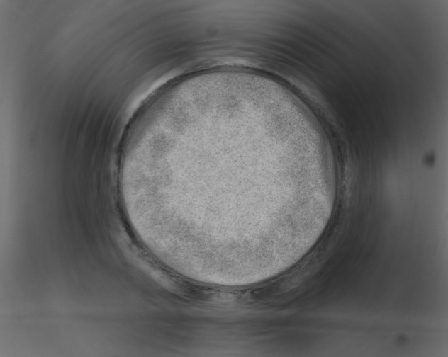 X0000115730790200912241625