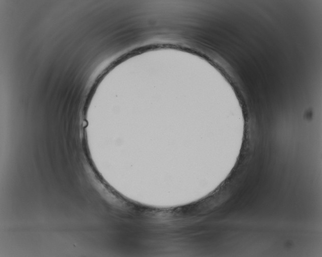X0000115730791200912241625