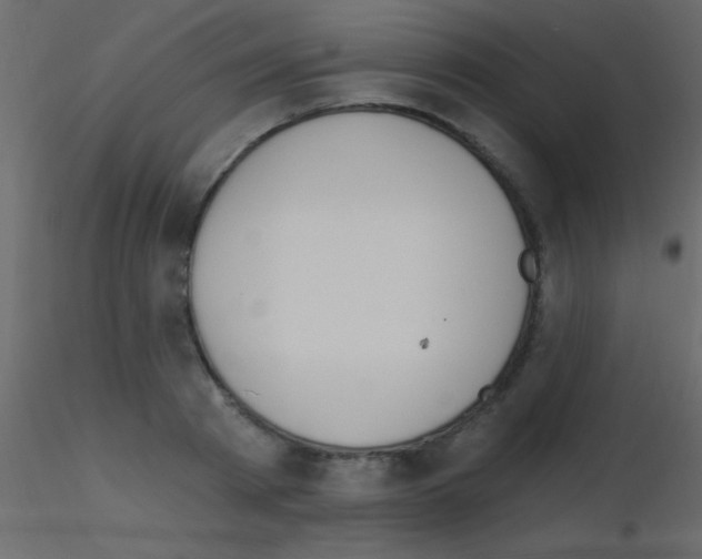 X0000115730793200912241625