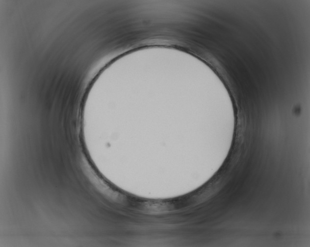 X0000115730795200912241625