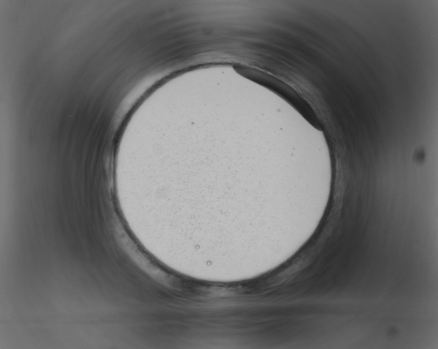 X0000115730796200912241625