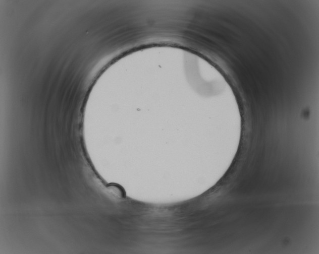 X0000115730799200912241625