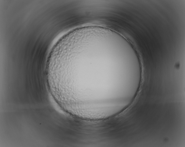 X0000115730800200912241625