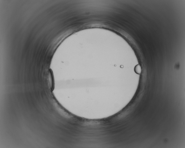 X0000115730801200912241625