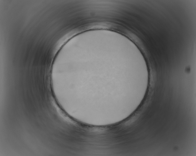 X0000115730802200912241625