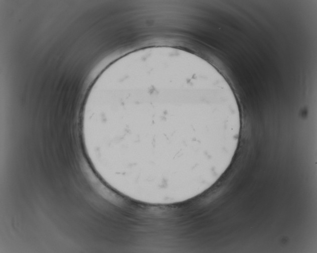 X0000115730803200912241625