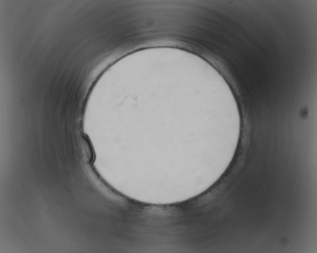 X0000115730805200912241625