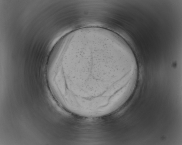 X0000115730806200912241625