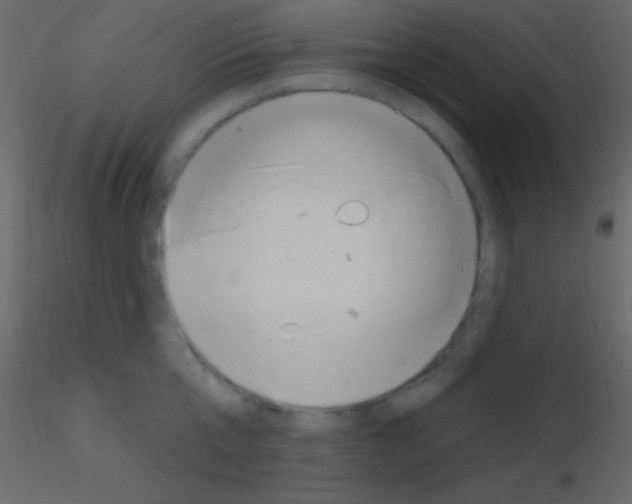 X0000115730807200912241625
