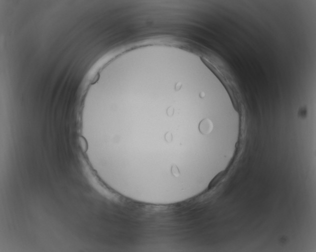 X0000115730808200912241625