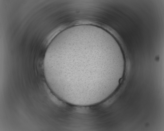 X0000115730809200912241625