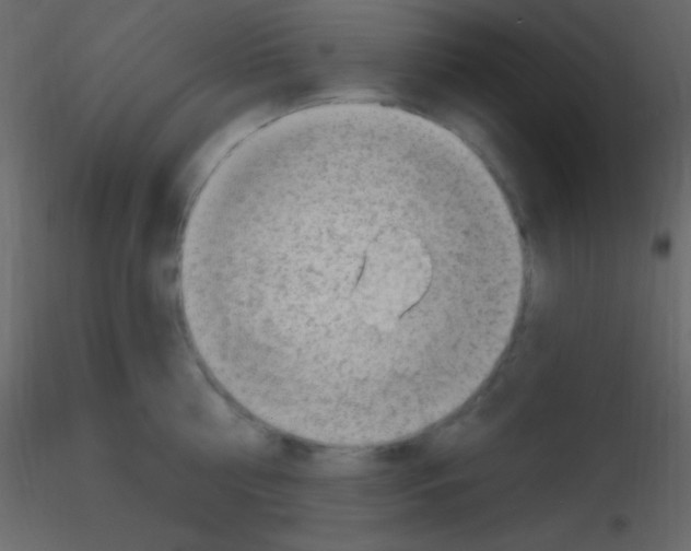 X0000115730810200912241625