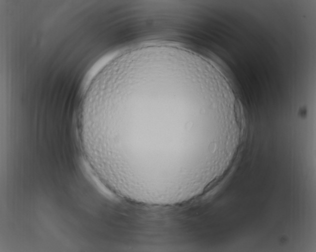 X0000115730812200912241625