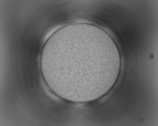 X0000115730814200912241625