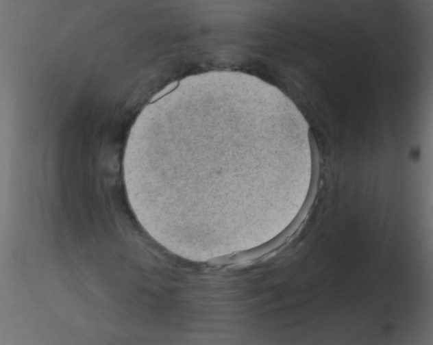 X0000115730818200912241624