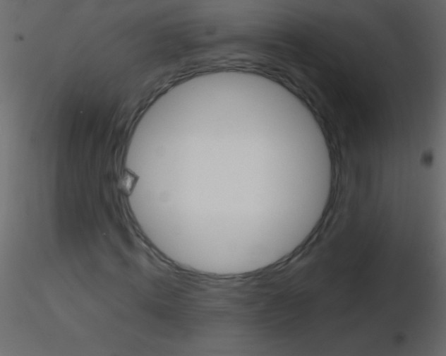 X0000115730820200912241624