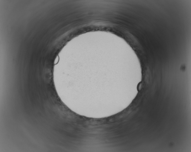 X0000115730821200912241624