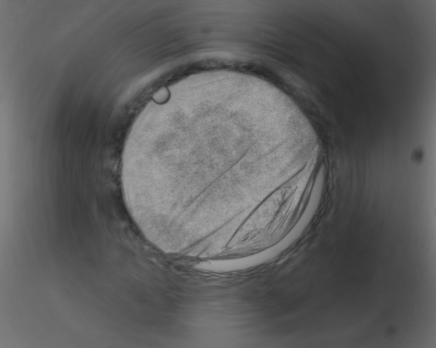 X0000115730822200912241624
