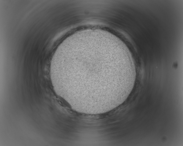 X0000115730823200912241624