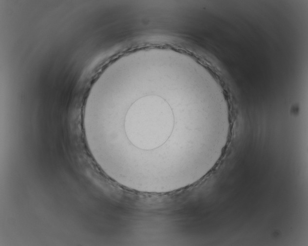 X0000115730824200912241624
