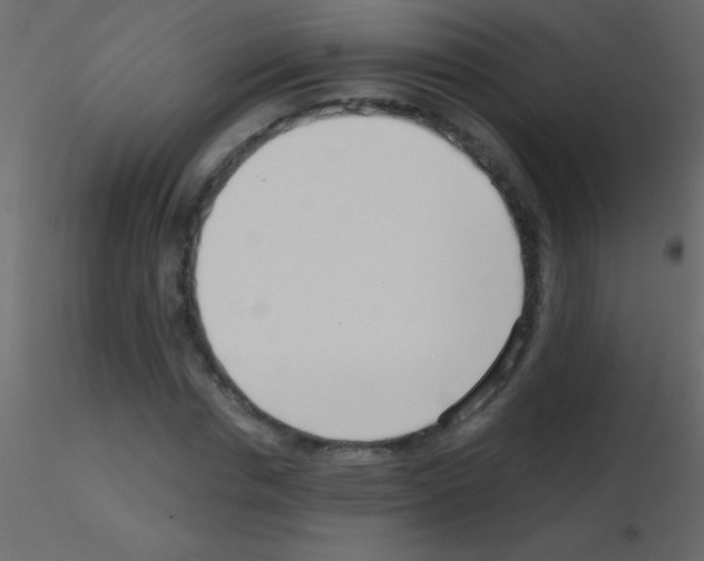X0000115730826200912241624