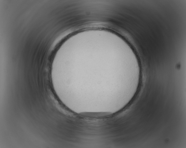 X0000115730827200912241624