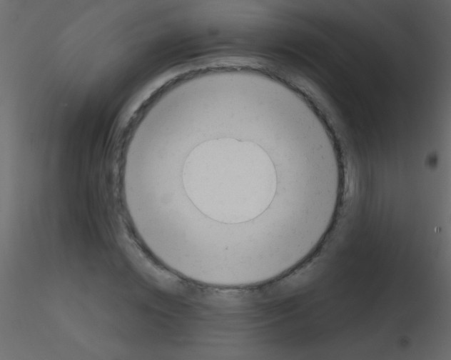 X0000115730828200912241624