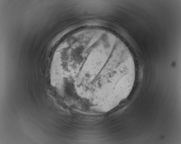 X0000115730829200912241624
