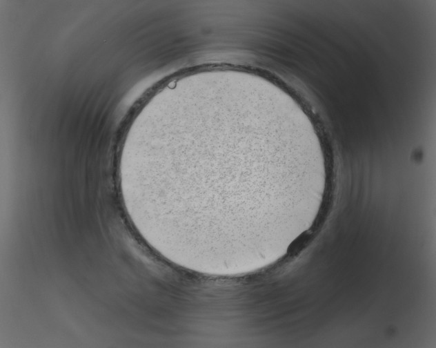 X0000115730830200912241624