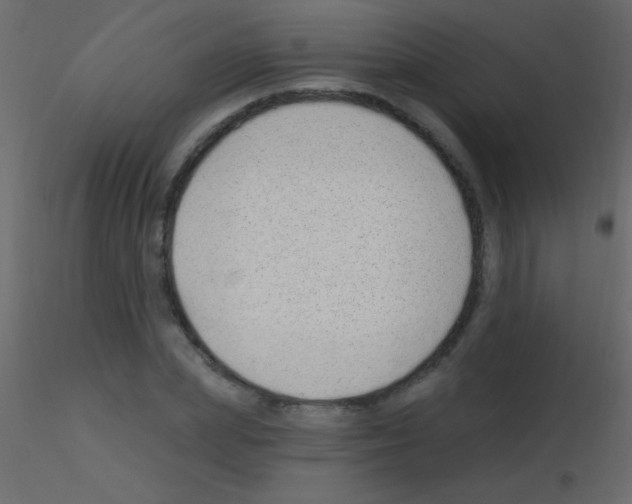 X0000115730831200912241624