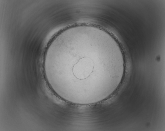 X0000115730832200912241624