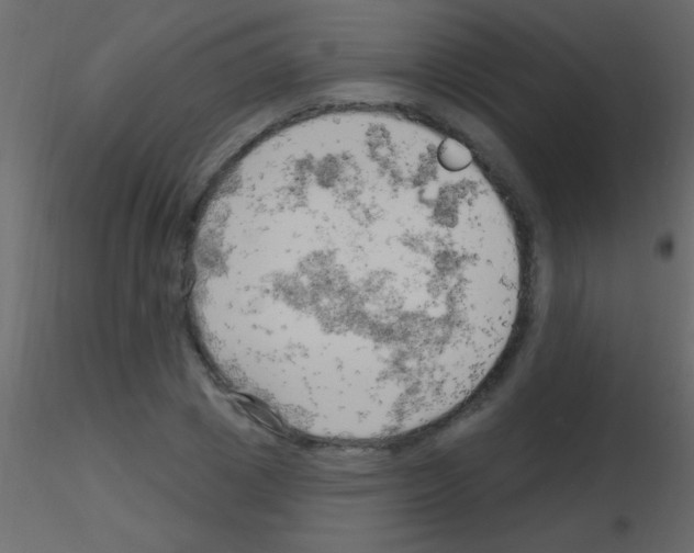 X0000115730833200912241624