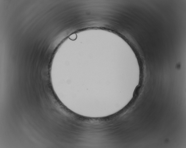 X0000115730834200912241624