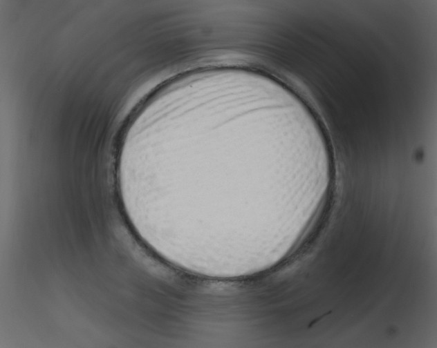 X0000115730835200912241624