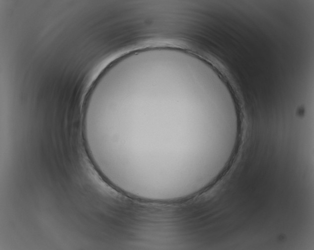 X0000115730836200912241624