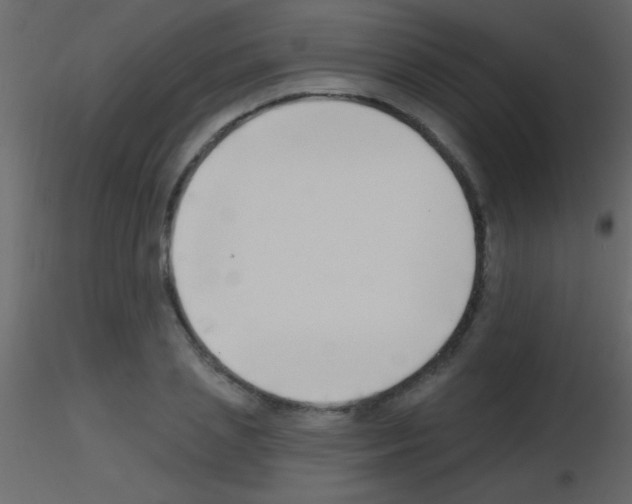 X0000115730837200912241624
