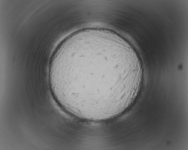 X0000115730839200912241624