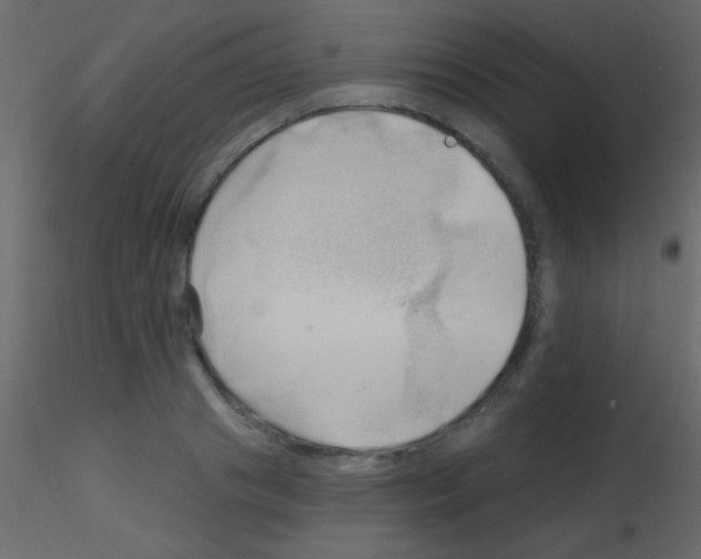 X0000115730841200912241624
