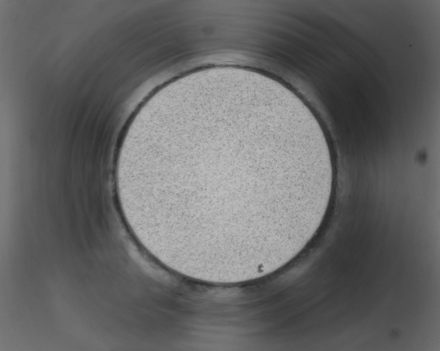 X0000115730845200912241624