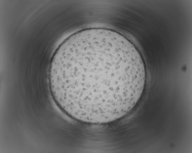 X0000115730847200912241625