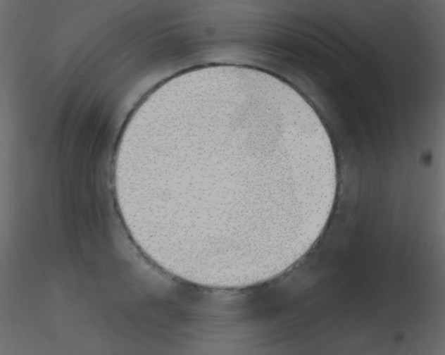 X0000115730848200912241625