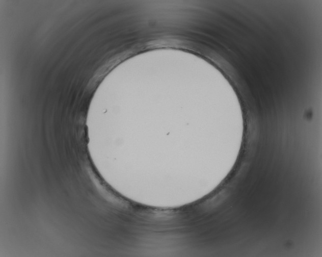 X0000115730849200912241625