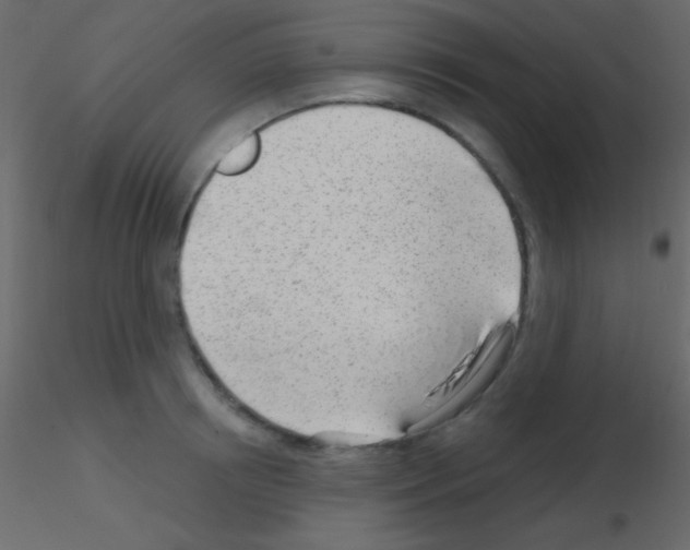 X0000115730850200912241625