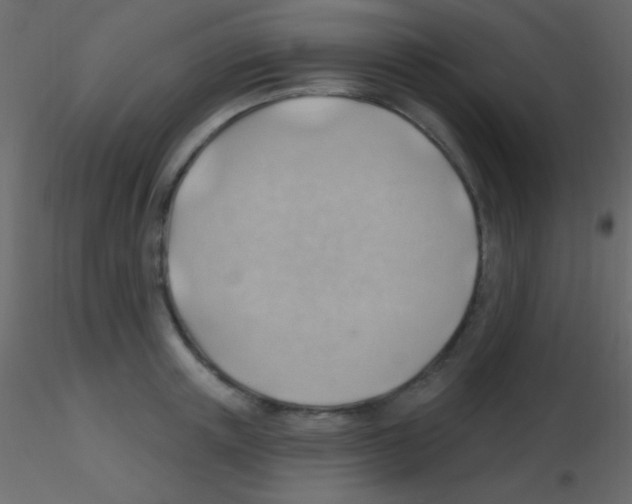 X0000115730851200912241625