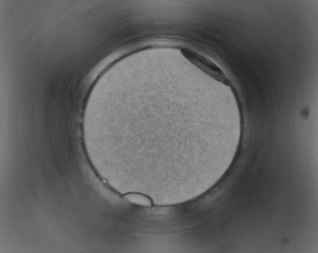 X0000115730853200912241625