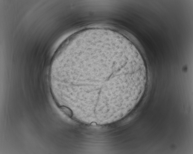 X0000115730855200912241625