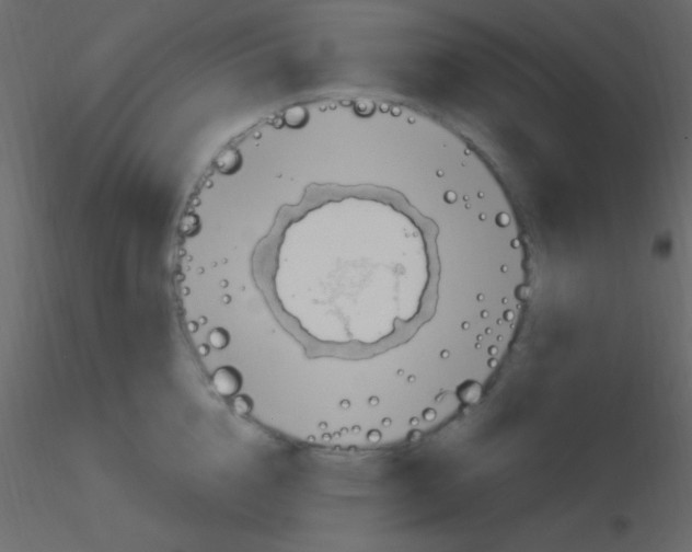 X0000115730856200912241625