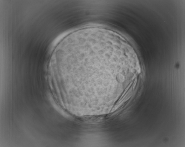 X0000115730862200912241625